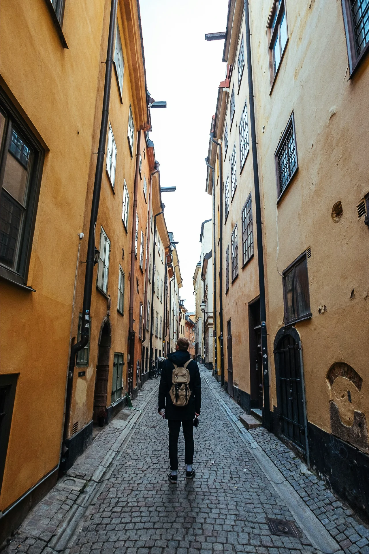 Robert bye 2lUbGozvJ30 unsplash